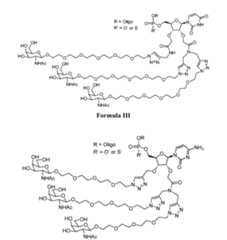 Figure imgf000023_0001