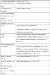 Figure imgf000176_0001