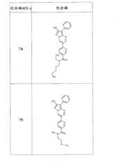 Figure FSB00000082108100461