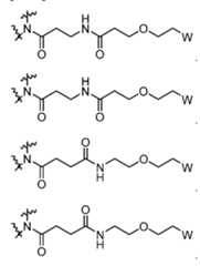 Figure imgf000021_0002