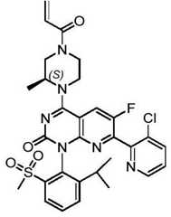 Figure BDA0002861043520000912