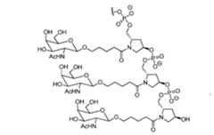 Figure imgf000100_0002