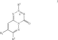 Figure US07317012-20080108-C00001