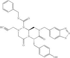 Figure US07232822-20070619-C02224