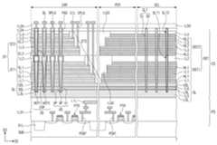 Figure P1020210136967