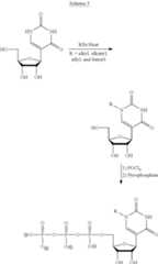 Figure US09271996-20160301-C00124