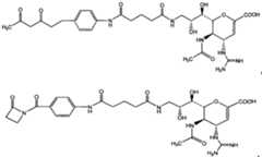 Figure imgf000069_0002