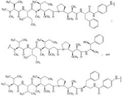 Figure imgf000106_0002