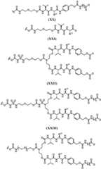 Figure FDA0003131611260000061