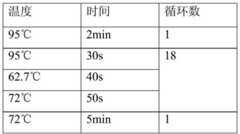 Figure BDA0000450153140000131