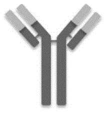 Figure BDA0003495782940000193