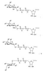 Figure 112009026250918-PCT00164