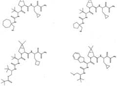 Figure imgf000241_0002