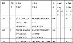 Figure BDA0000059233380000271