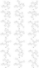 Figure BDA0003735074040000061