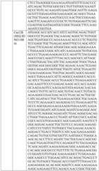 Figure BDA0004033970230005481