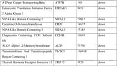 Figure imgf000010_0001