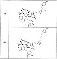 Figure A20058001353201571