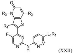 Figure imgf000026_0001