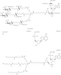 Figure US09181549-20151110-C00624