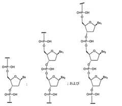 Figure 0007429103000127