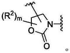 Figure BDA0003783300830000835