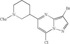 Figure US07119200-20061010-C01190