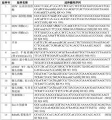 Figure BDA0003627552160002551