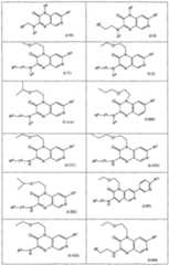 Figure imgf000013_0001