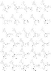 Figure FDA0002697681650000171