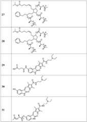 Figure BDA0002268634580002531