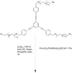 Figure imgf000018_0001