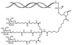 Figure imgf000171_0002