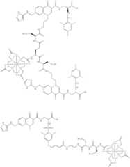 Figure US06511649-20030128-C00026