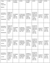 Figure imgf000498_0001