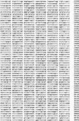 Figure IPA0000293710130000111