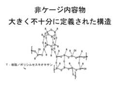 Figure 2022141628000024