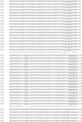 Figure GDA0002870045410001001