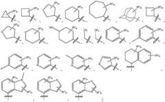 Figure FDA0003855853530000021