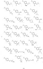 Figure imgf000025_0001