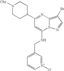 Figure US07119200-20061010-C01404
