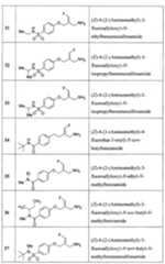 Figure imgf000028_0001