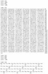 Figure IDA00002091897103071