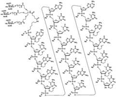 Figure GDA0003564942560000321