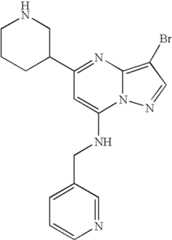 Figure US07119200-20061010-C02104