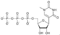 Figure imgf000147_0004