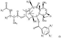 Figure imgf000016_0001