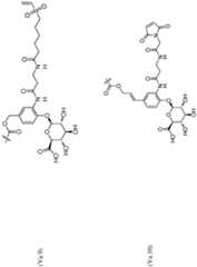 Figure imgf000127_0001