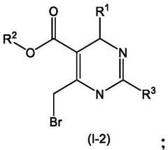 Figure FDA0003122494510000111