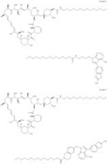 Figure US11364300-20220621-C00327